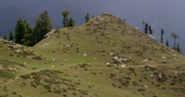 Karsog Valley Mandi District Himachal Pradesh